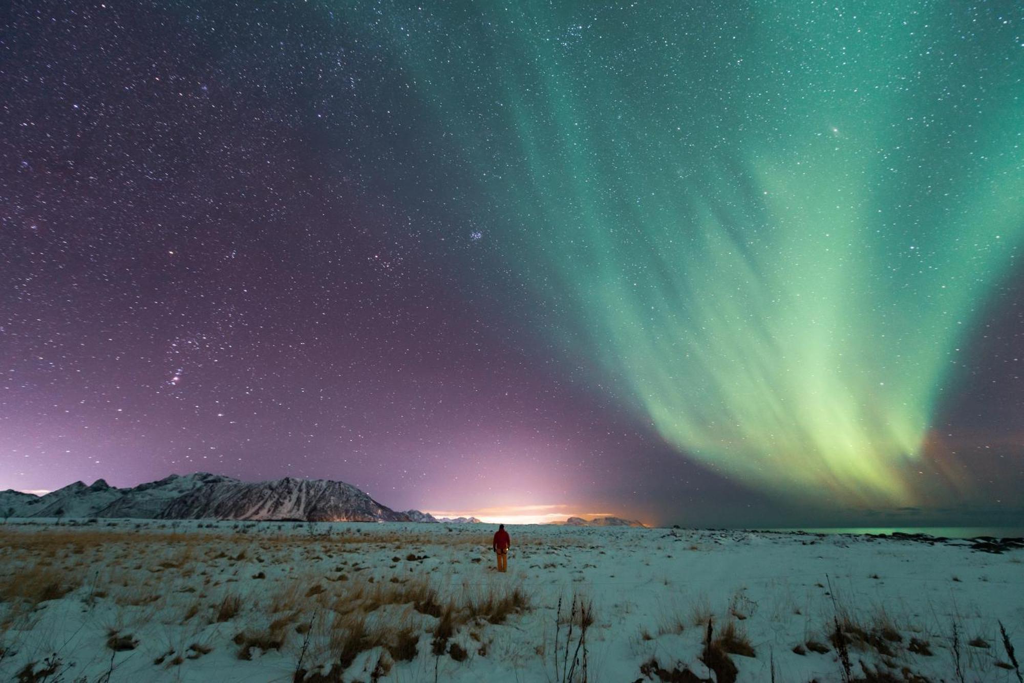 Lofoten Green Studio 拉姆贝格 外观 照片